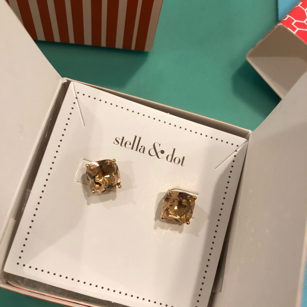 Luxe Studs in Pink